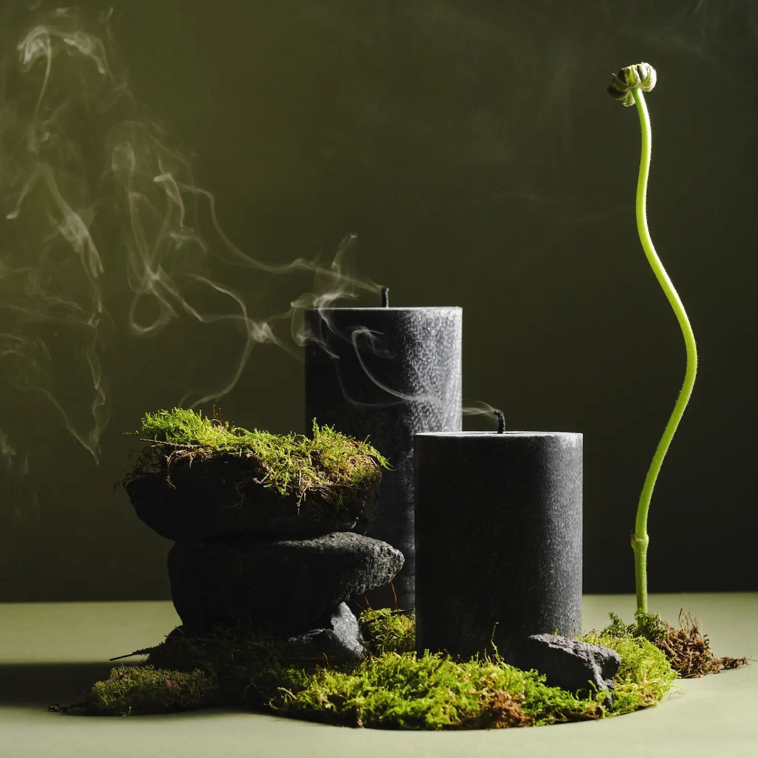 Two black cylindrical candles releasing wisps of smoke, arranged on dark stones covered with green moss, beside a slender green plant shoot curving upward against a muted olive background.