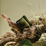Green bottle with gold label on a wooden branch with grass