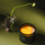 Black candle with three wicks on a green background