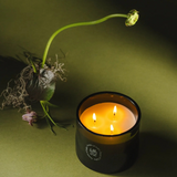 Black candle with three wicks on a green background